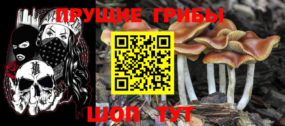Галлюциногенные грибы мухоморы  Вход с VPN  Ижевск  Псилоцибиновые грибы MAGIC MUSHROOMS 