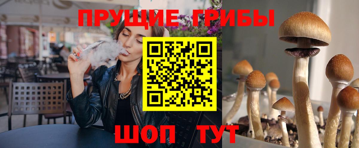 Псилоцибиновые грибы мухоморы Ижевск